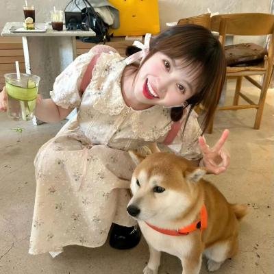 金鼠王